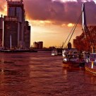 The harbor of Rotterdam